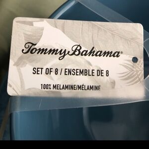 Tommy Bahama Blue Melamine Dinner Plates